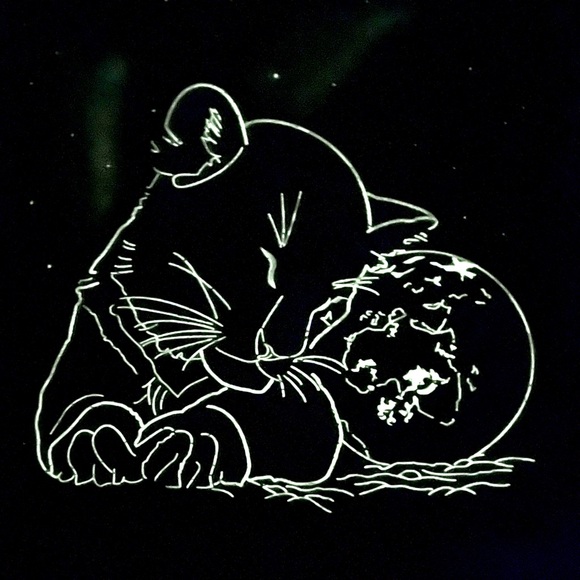 Collectible 🧩 550 PCS Puzzle White Tiger Earth Light - Picture 3 of 8